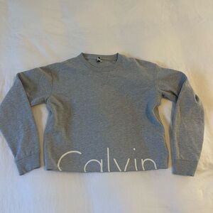 Calvin Klein Kids Gray Sweatshirt